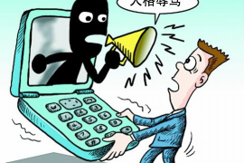 长沙智诚汽车暴力催收事件深度解析